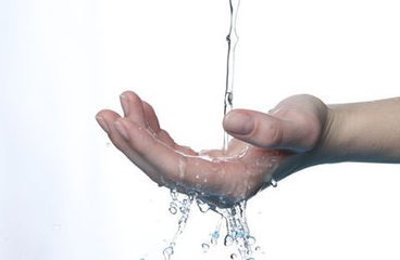 �����ܲ�����Ԥ��