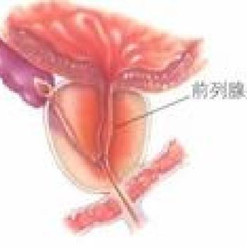 �߼��°�����ǰ���ٿ�&ldquo;˥��&rdquo;